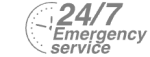 24/7 Emergency Service Pest Control in Chislehurst, Elmstead, BR7. Call Now! 020 8166 9746